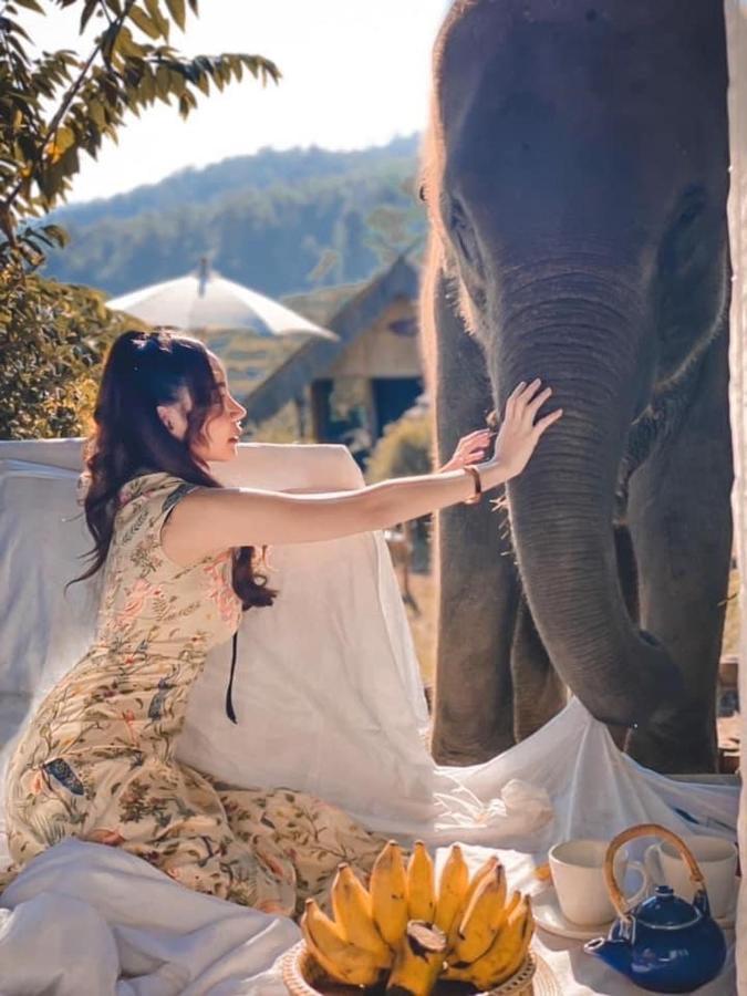 3 Pok Maewang jinxiang Gold elephant park Mae Wang Bagian luar foto