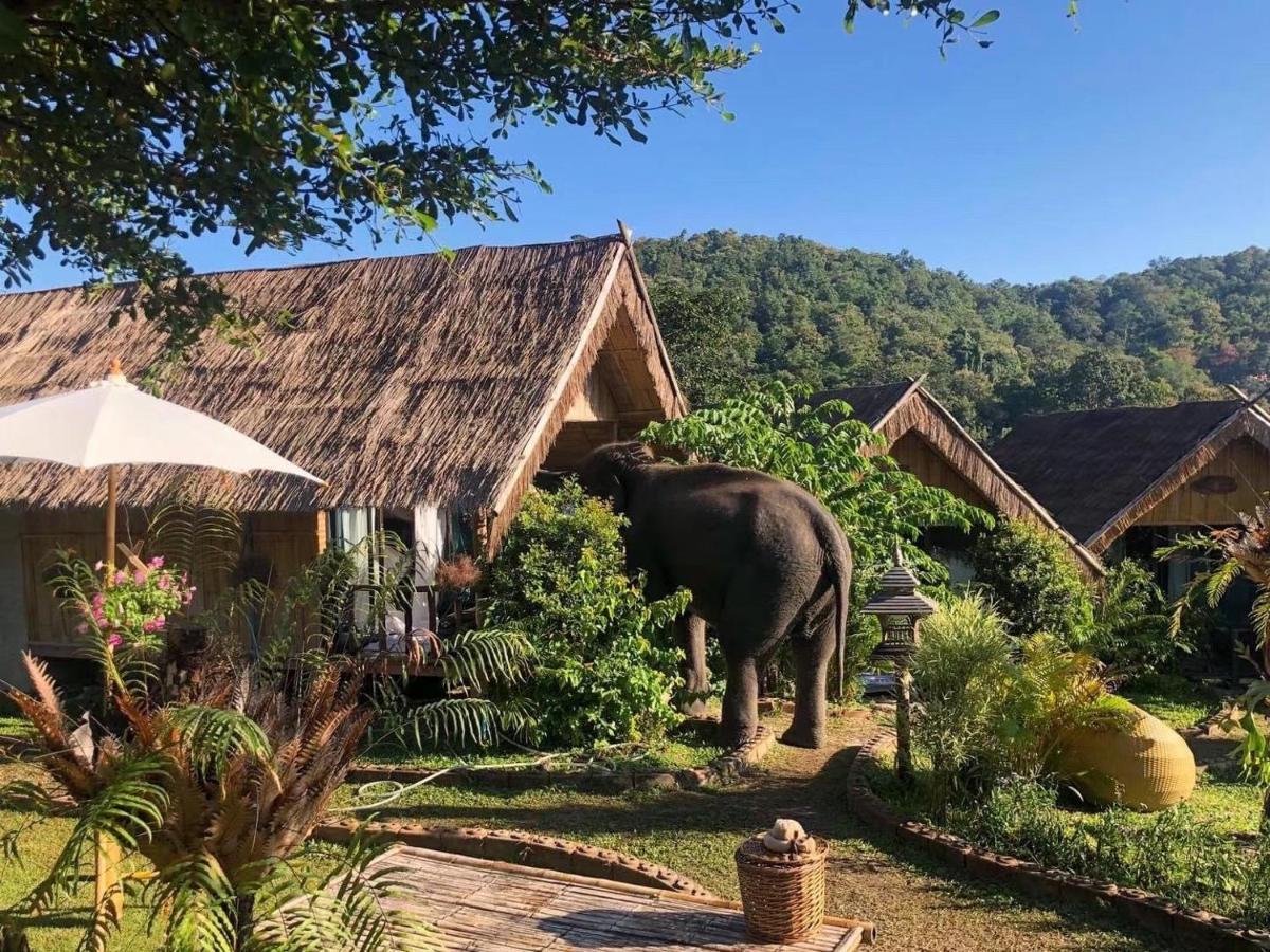 3 Pok Maewang jinxiang Gold elephant park Mae Wang Bagian luar foto