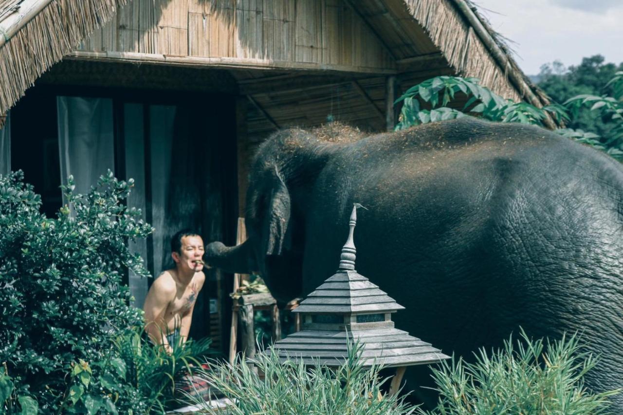 3 Pok Maewang jinxiang Gold elephant park Mae Wang Bagian luar foto