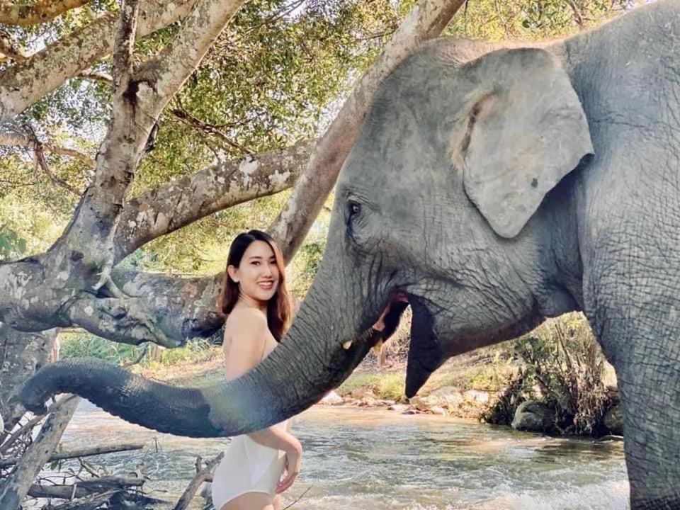 3 Pok Maewang jinxiang Gold elephant park Mae Wang Bagian luar foto