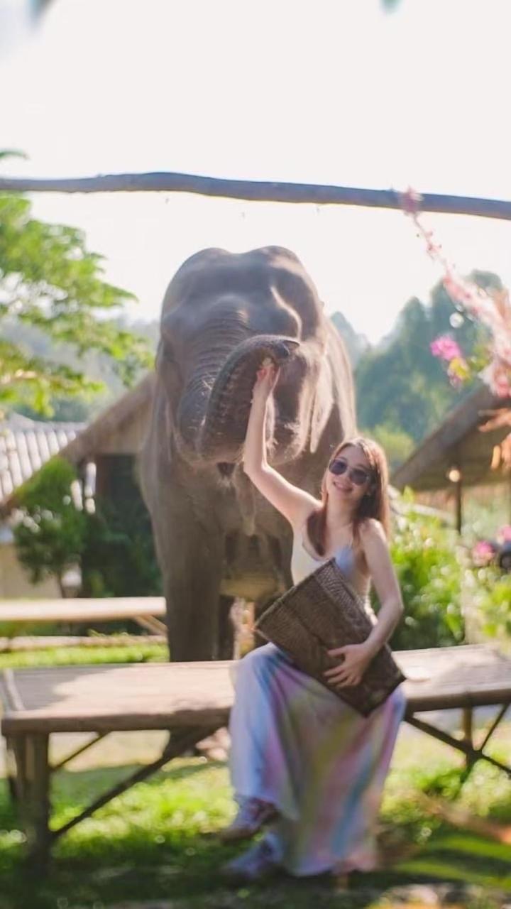 3 Pok Maewang jinxiang Gold elephant park Mae Wang Bagian luar foto