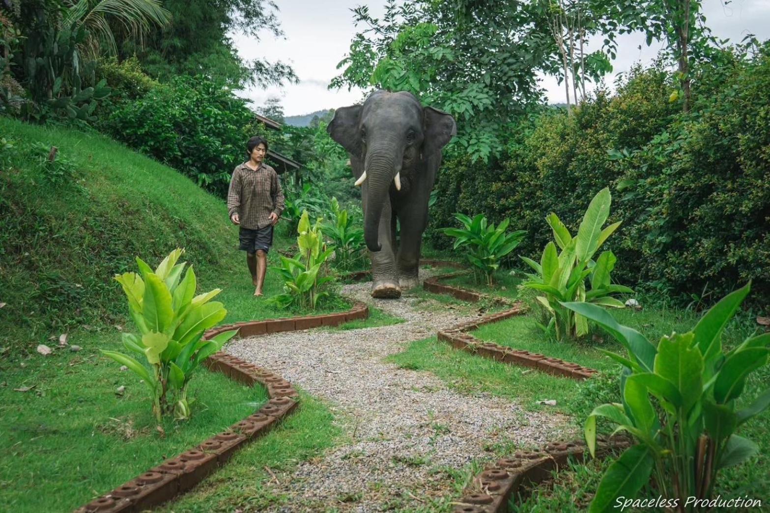 3 Pok Maewang jinxiang Gold elephant park Mae Wang Bagian luar foto