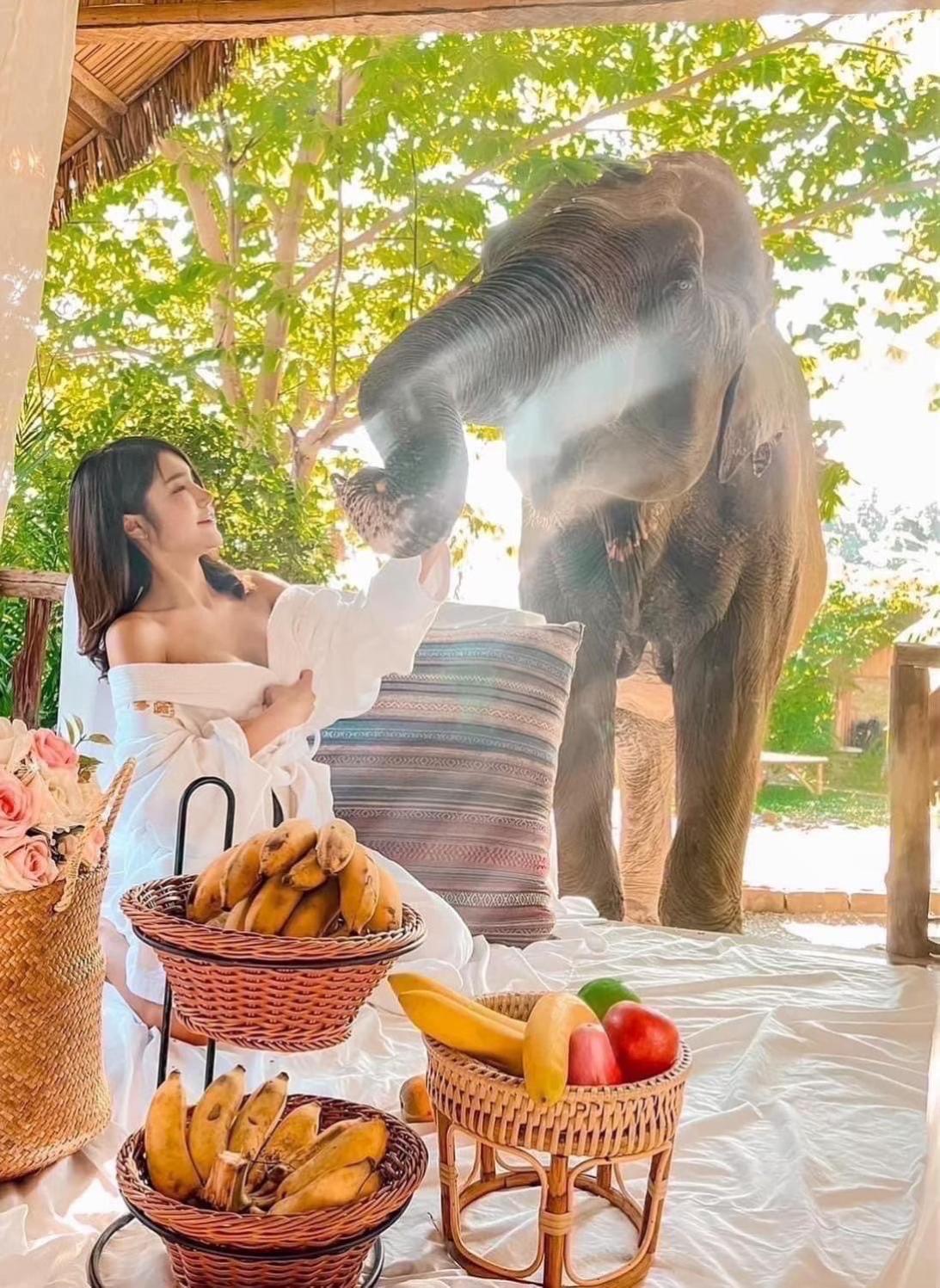 3 Pok Maewang jinxiang Gold elephant park Mae Wang Bagian luar foto