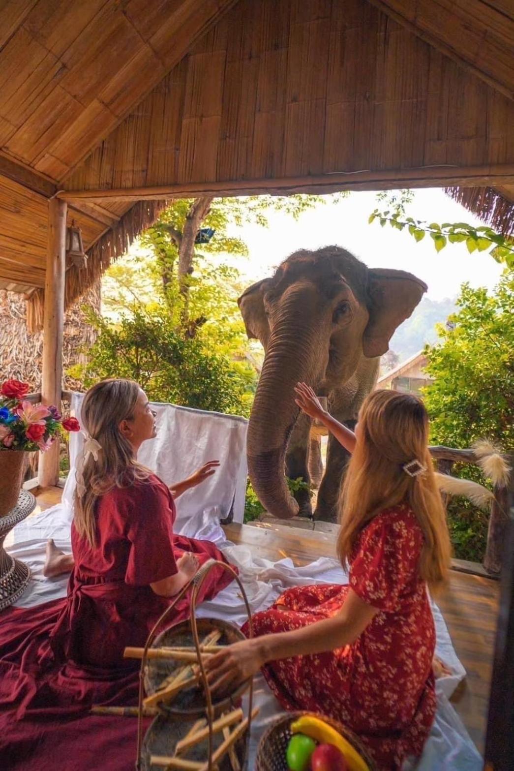 3 Pok Maewang jinxiang Gold elephant park Mae Wang Bagian luar foto