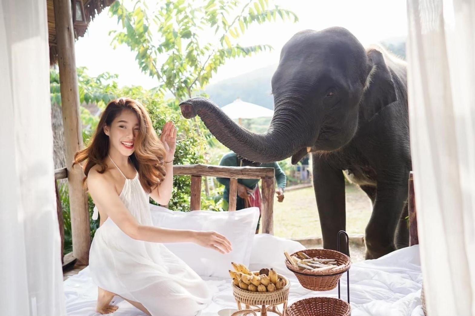 3 Pok Maewang jinxiang Gold elephant park Mae Wang Bagian luar foto