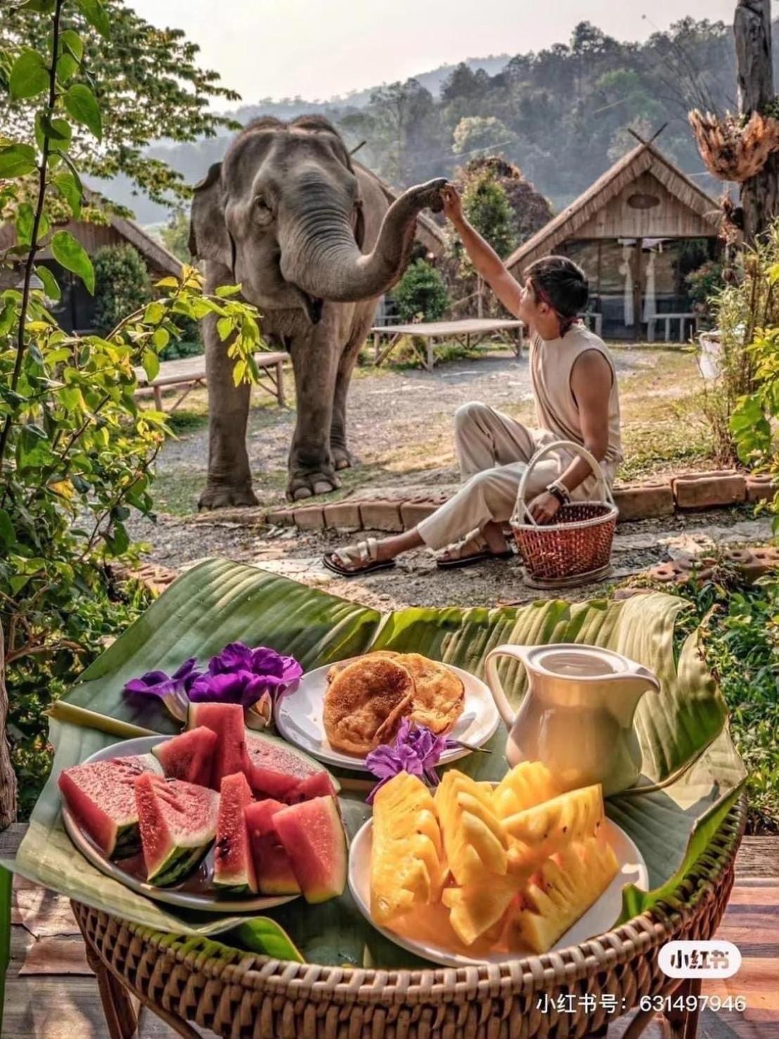 3 Pok Maewang jinxiang Gold elephant park Mae Wang Bagian luar foto