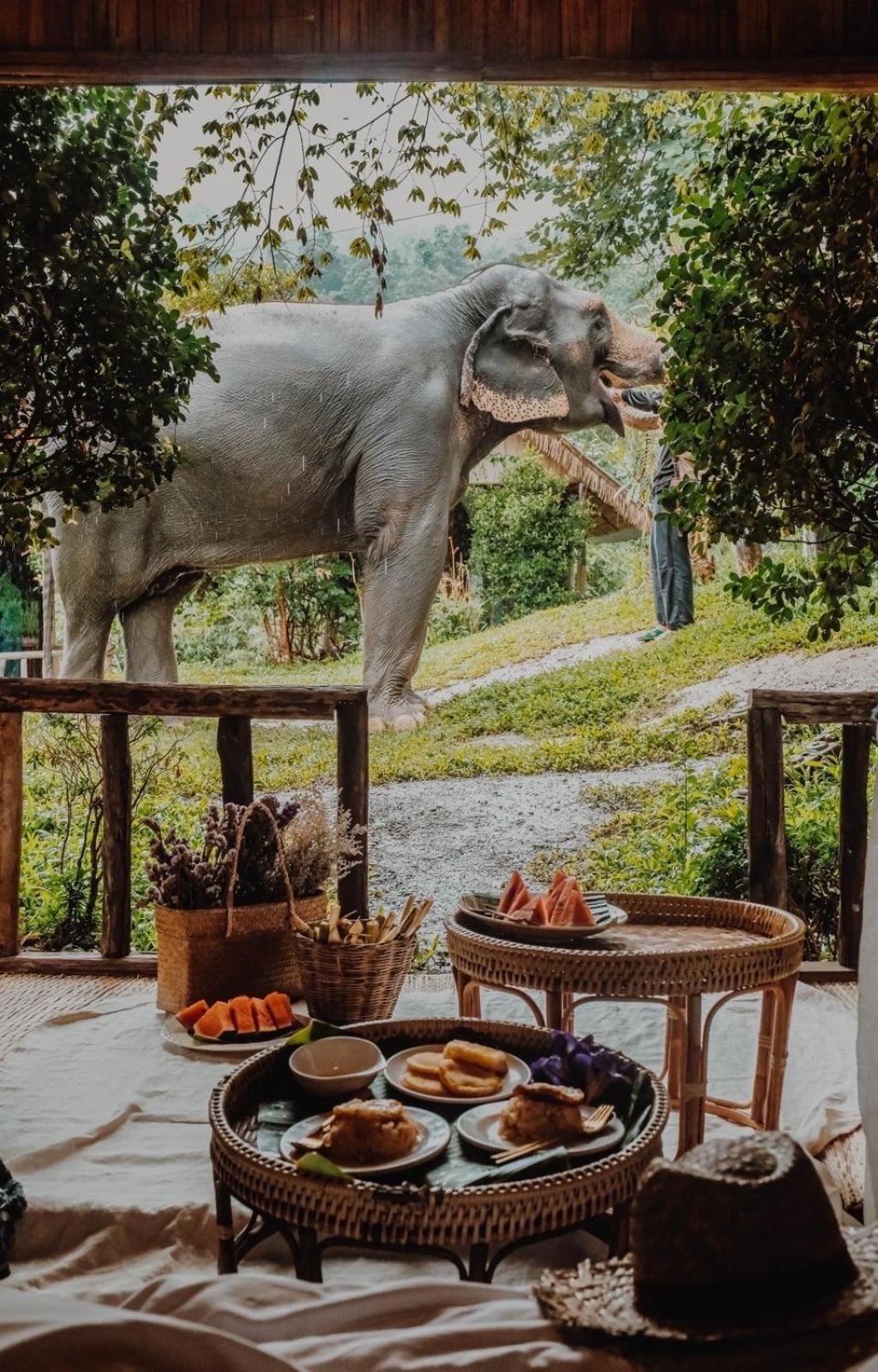 3 Pok Maewang jinxiang Gold elephant park Mae Wang Bagian luar foto